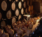 chateau busca maniban